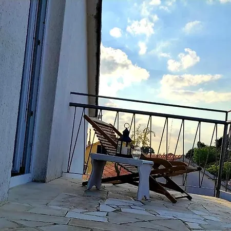 Mlaja